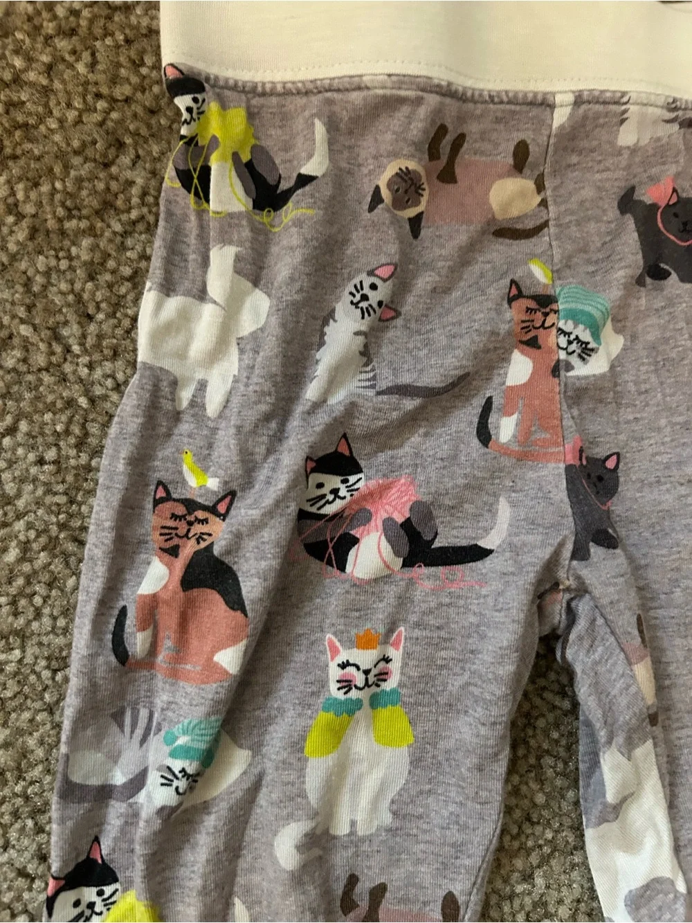 Little Sleepies Gray Cat Print Pajama Pants